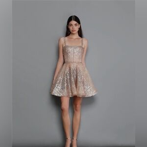 BRONX & BANCO Mademoiselle embellished tulle mini dress